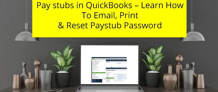 Quickbooks paystub password